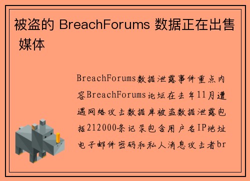 被盗的 BreachForums 数据正在出售 媒体